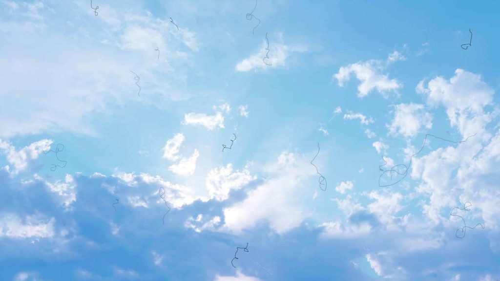 Wispy strands drifting across a bright blue sky, the way vitreous floaters appear in the field of vision