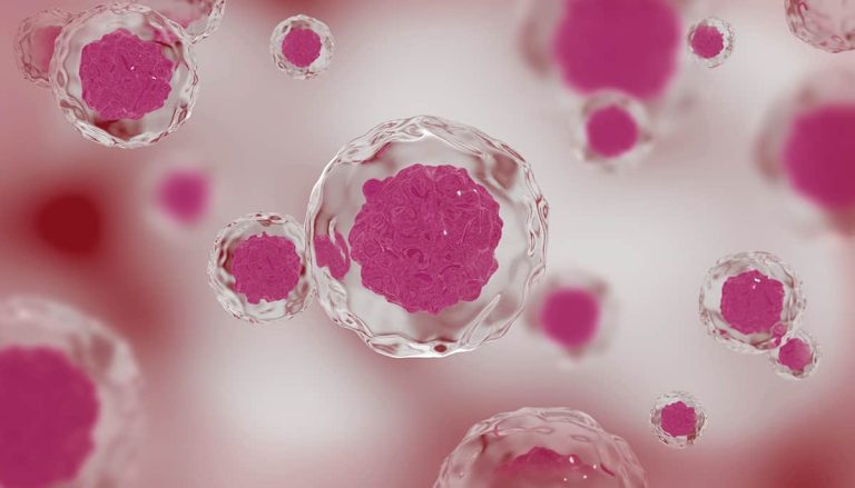 How Amniotic Membranes Improve Eye Care for Corneal and Conjunctival Diseases